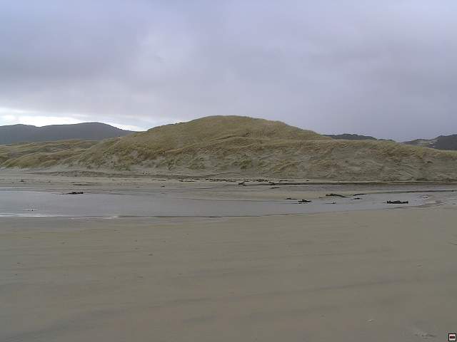Steward Island 021.jpg